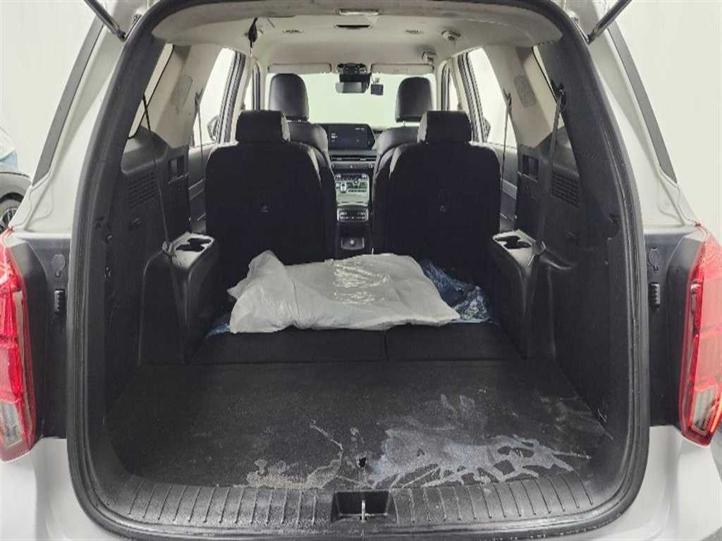 Hyundai Palisade — photo 16