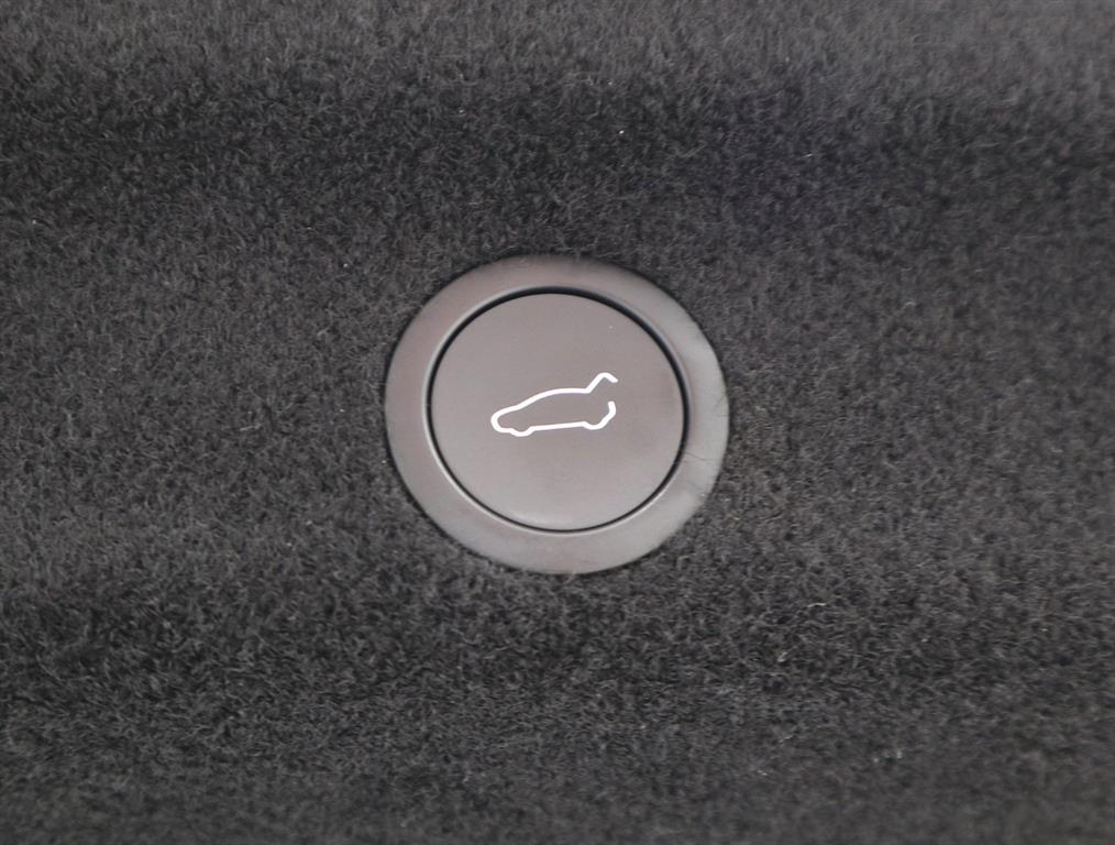 Tesla Model Y — photo 15