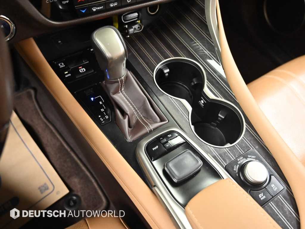 Lexus RX — photo 09