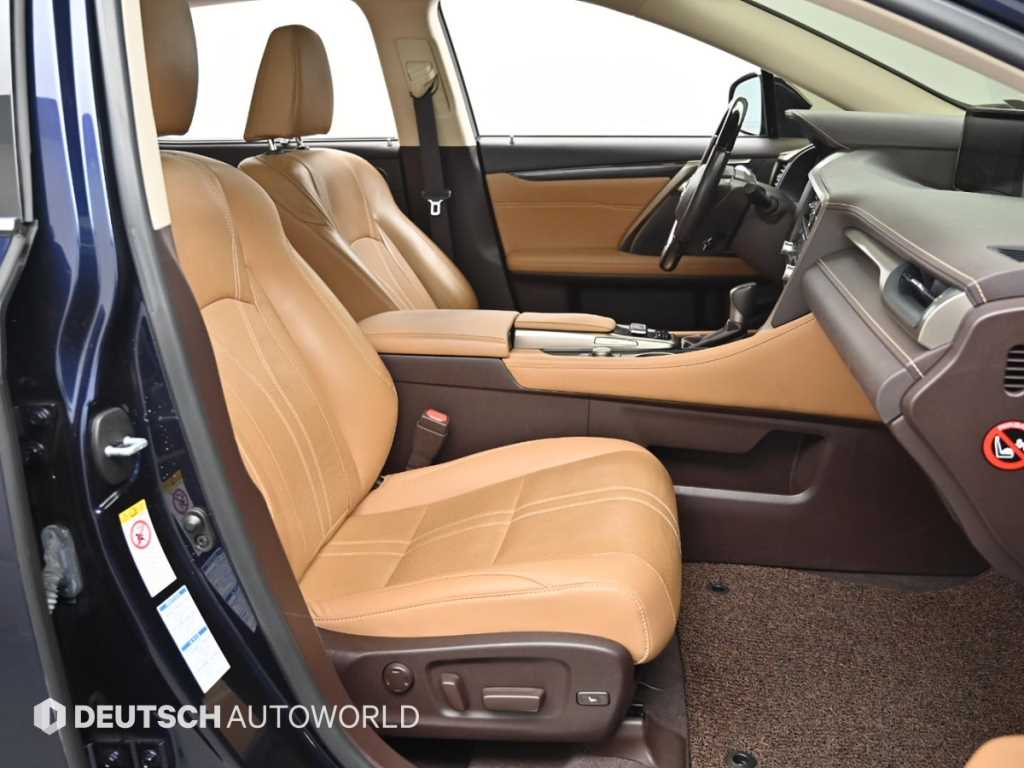 Lexus RX — photo 10