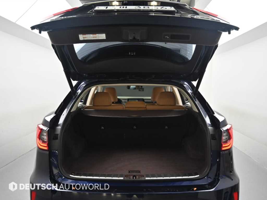 Lexus RX — photo 19