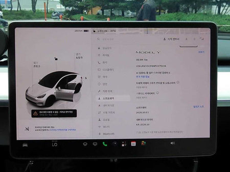 Tesla Model Y — photo 13