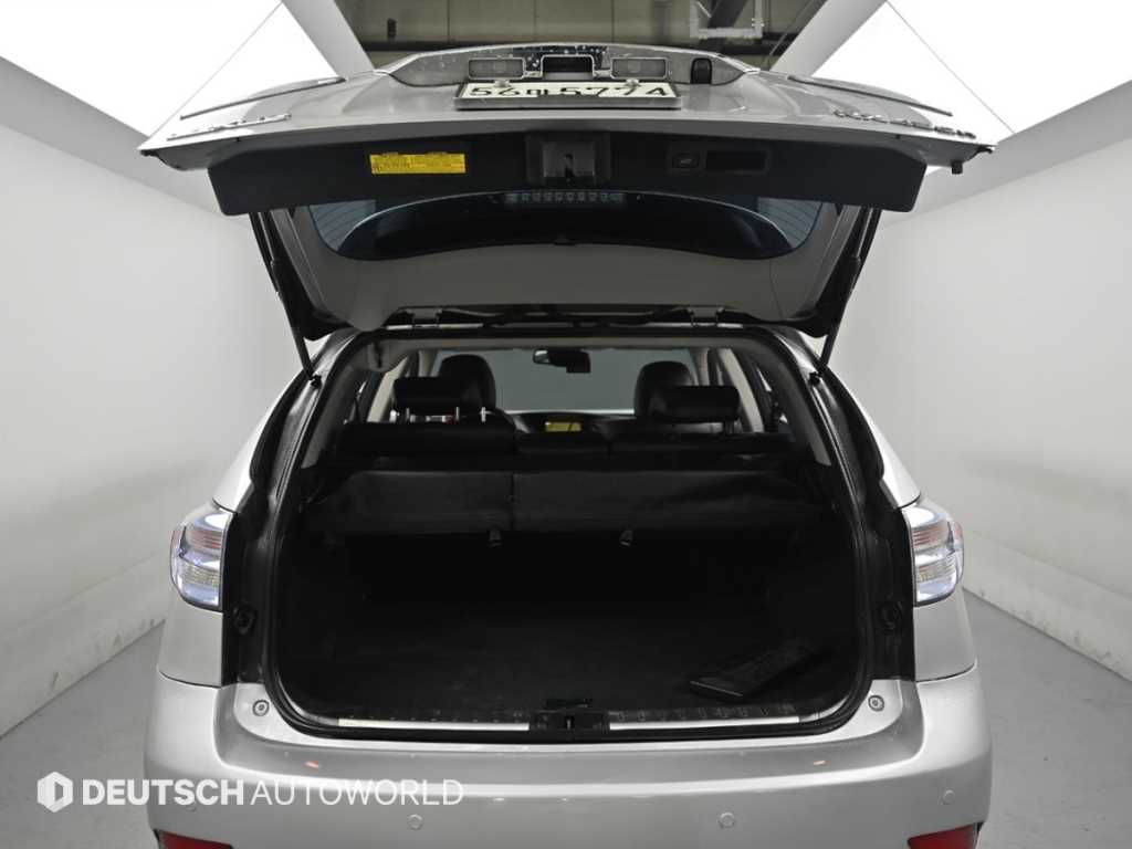 Lexus RX — photo 19