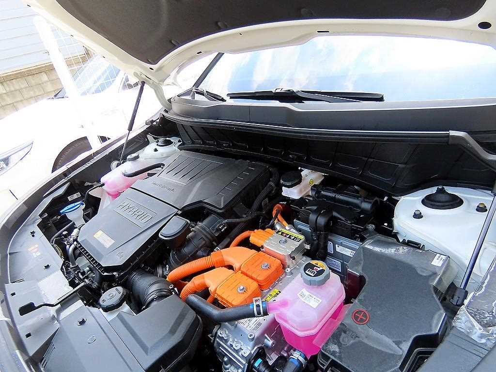Kia Niro — photo 19