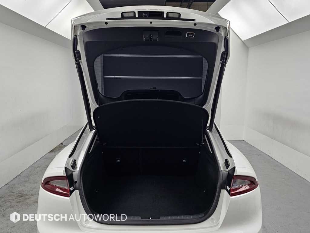 Kia Stinger — photo 19