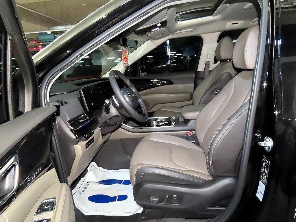 Kia Carnival — photo 06