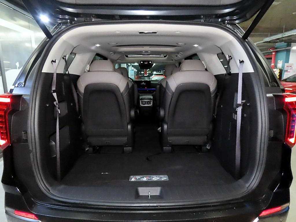 Kia Carnival — photo 15
