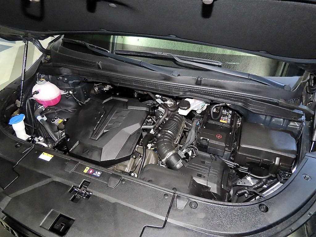 Kia Carnival — photo 19