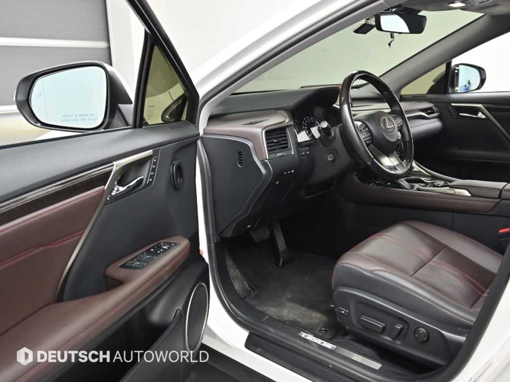 Lexus RX — photo 11
