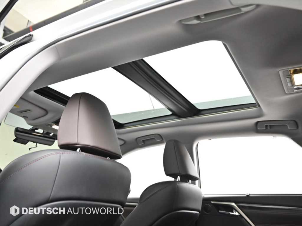 Lexus RX — photo 18