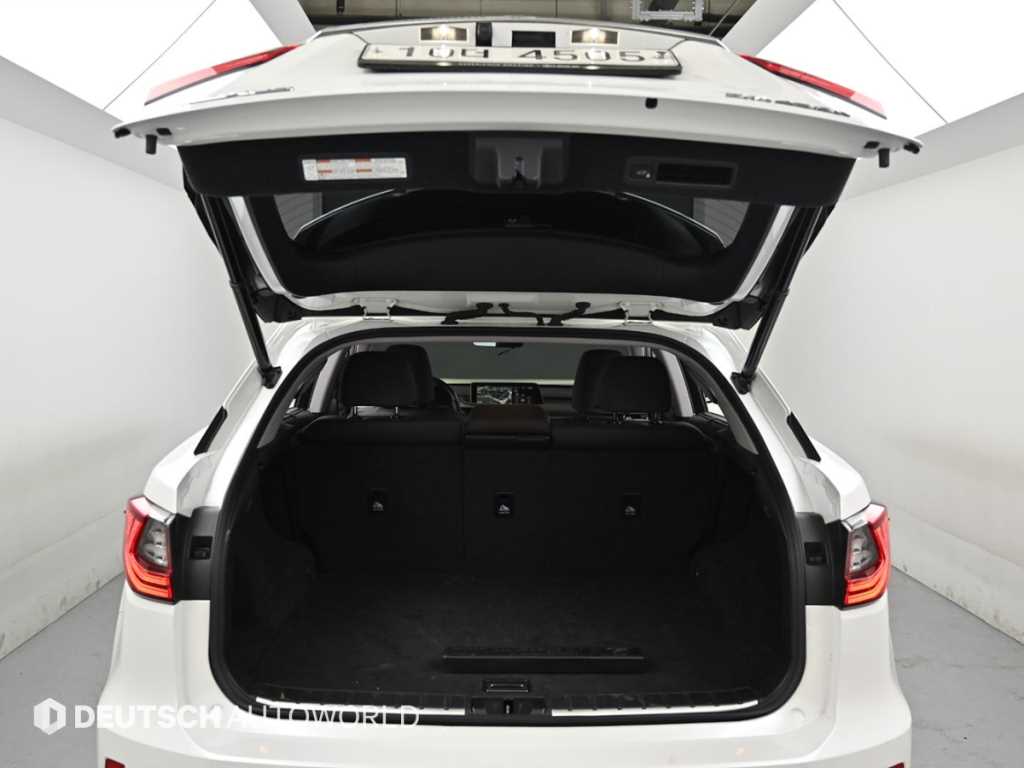 Lexus RX — photo 19