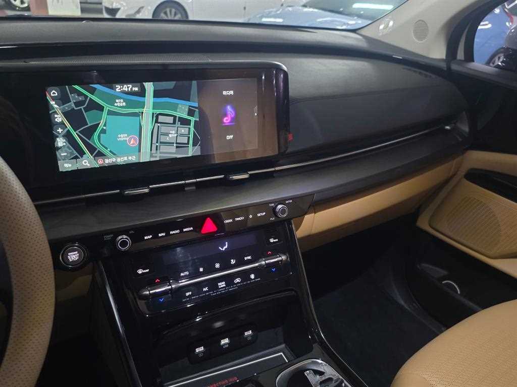 Kia Carnival — photo 13