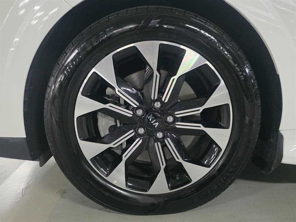 Kia Carnival — photo 18
