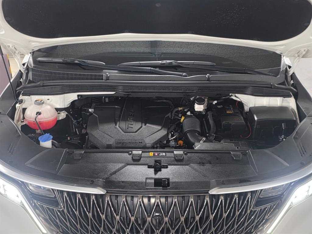 Kia Carnival — photo 20