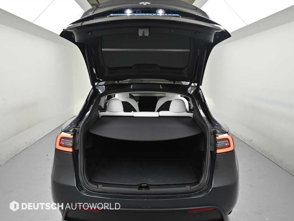 Tesla Model Y — photo 19