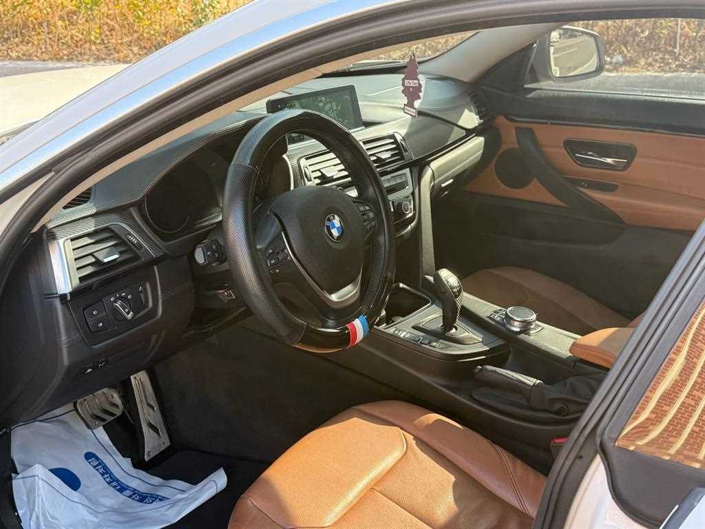 BMW 4-Series — photo 09