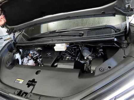 Lexus LM — photo 19