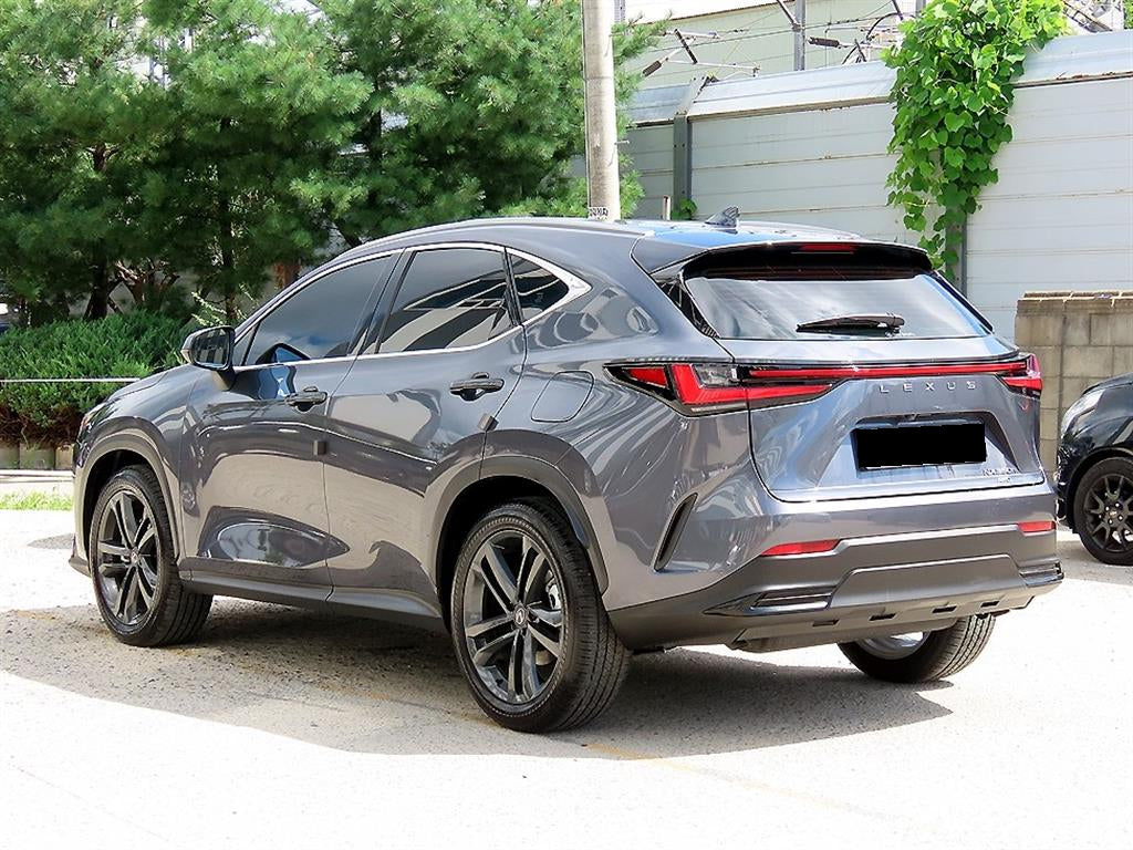 Lexus NX — photo 03
