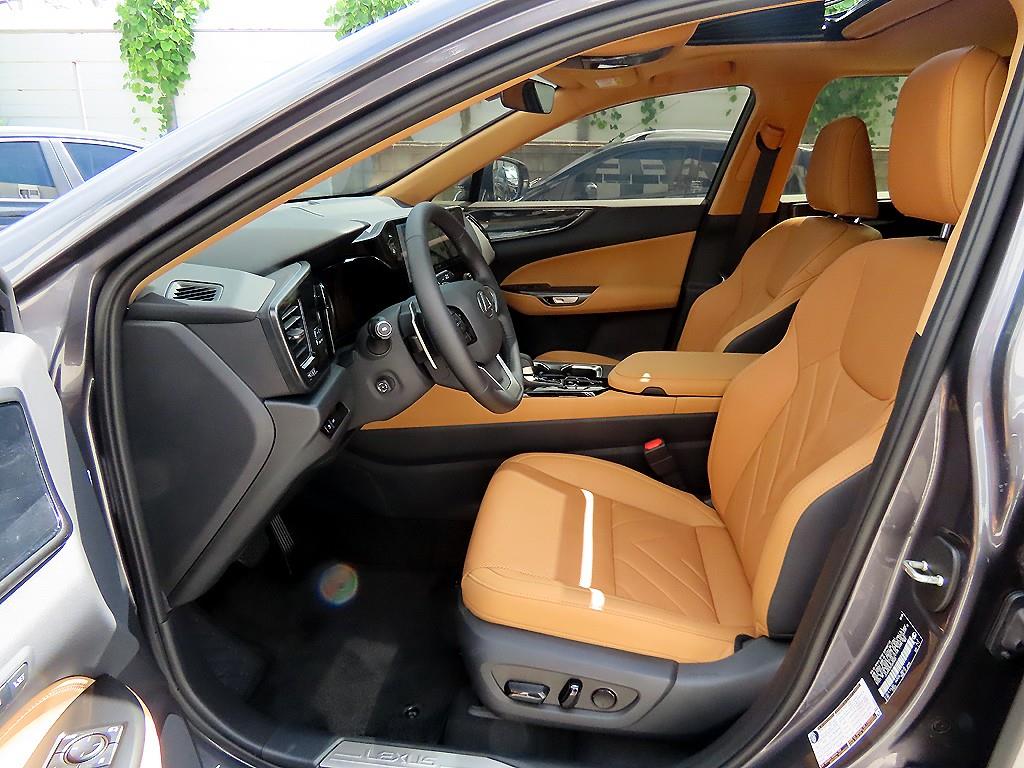 Lexus NX — photo 05