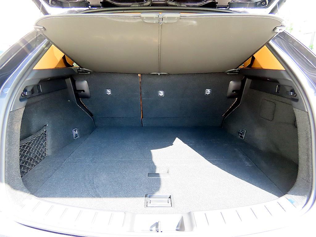 Lexus NX — photo 17