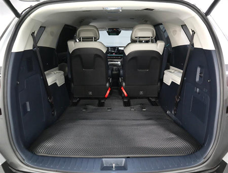 Kia Carnival — photo 16