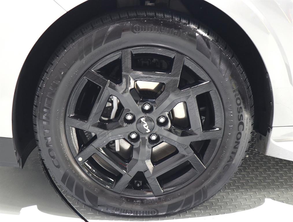 Kia Carnival — photo 17