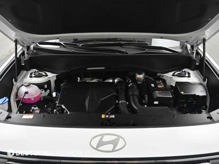 Hyundai Palisade — photo 06