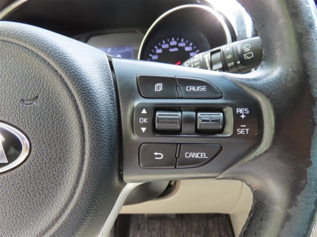 Kia Carnival — photo 11