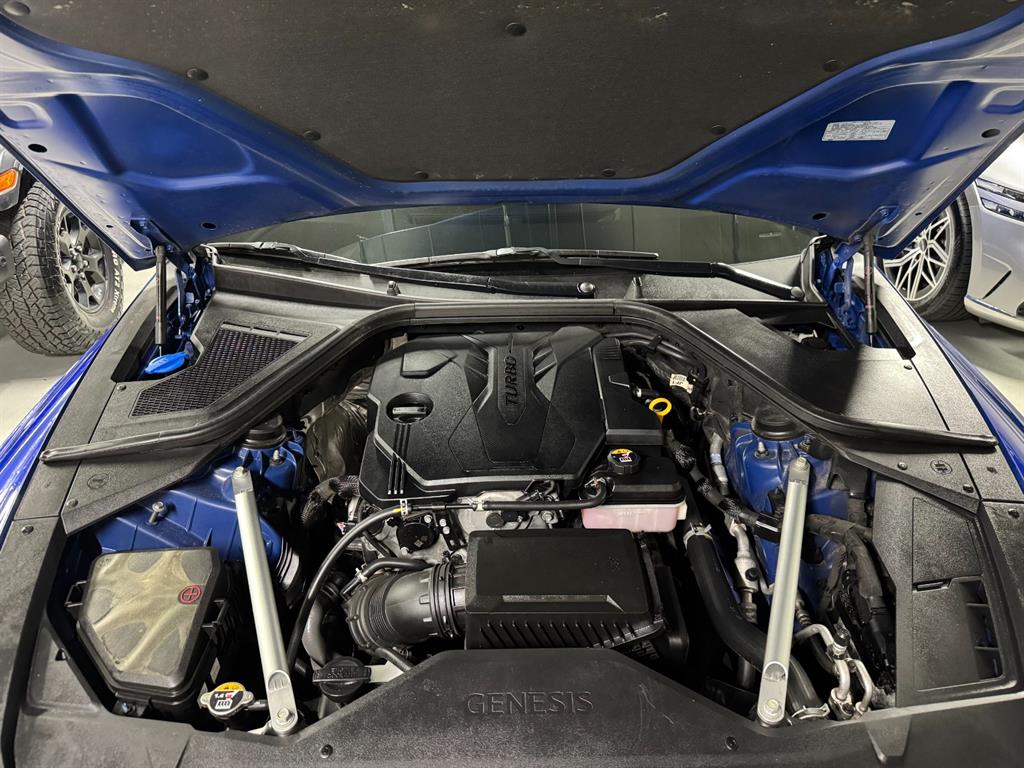 Genesis G80 — photo 19