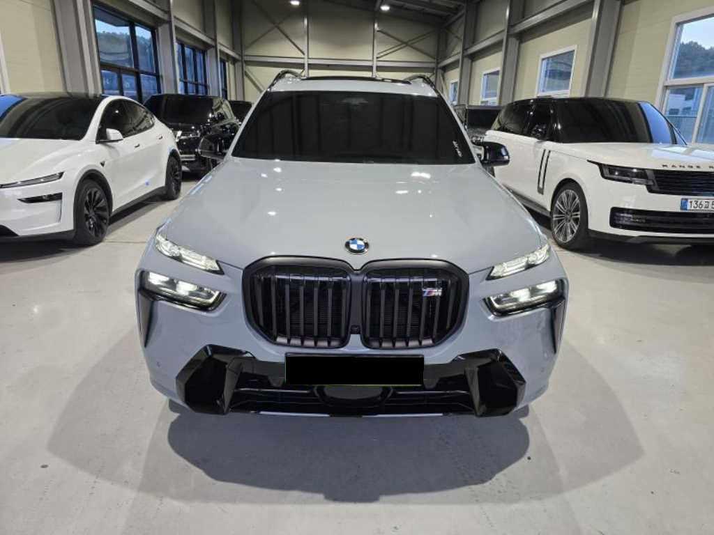 BMW X7 — photo 02