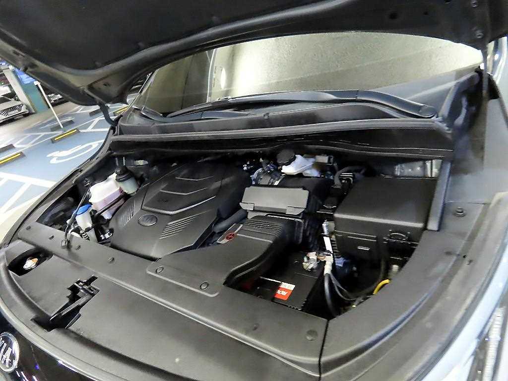 Kia Carnival — photo 19