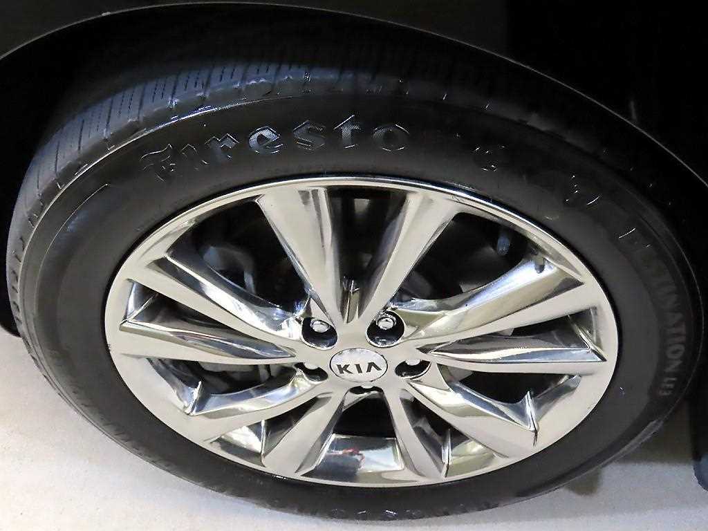 Kia Carnival — photo 20