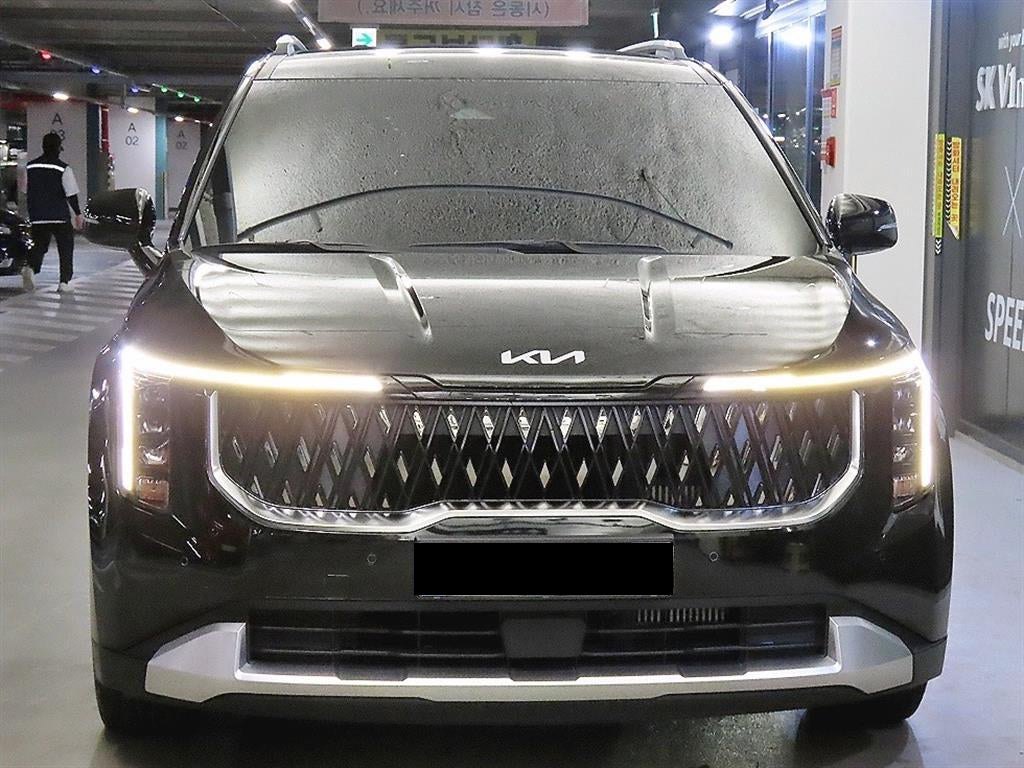Kia Carnival — photo 02