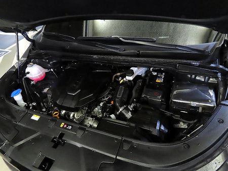 Kia Carnival — photo 19