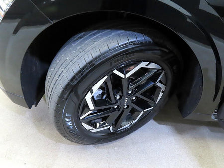 Kia Carnival — photo 20