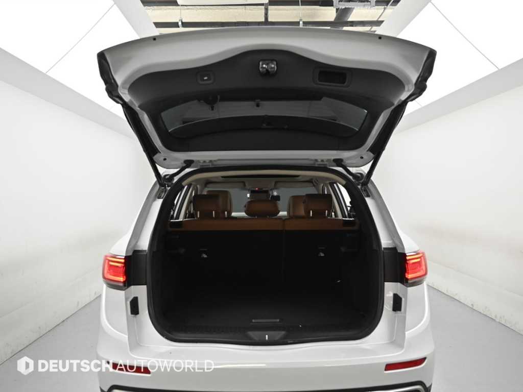 RENAULT QM6 — photo 19