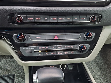 Kia Carnival — photo 10