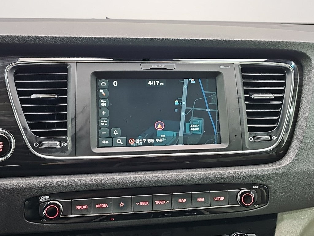 Kia Carnival — photo 16