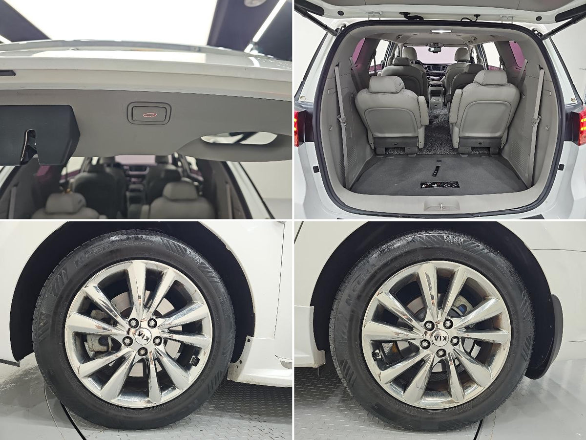 Kia Carnival — photo 19