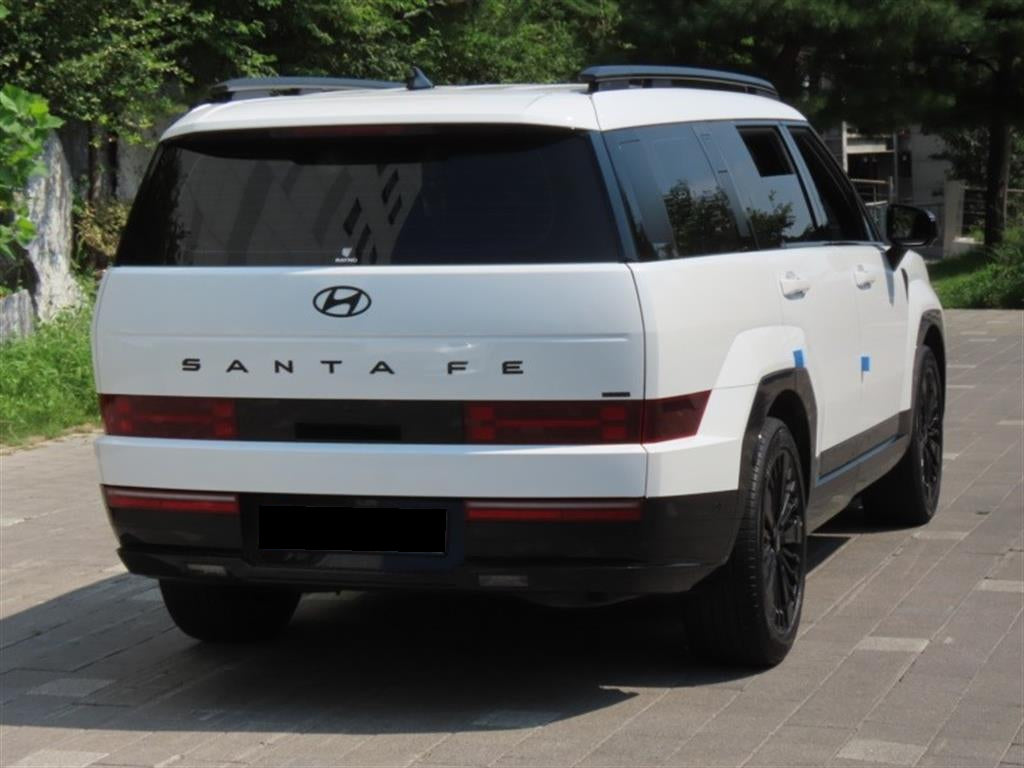 Hyundai Santafe — photo 03