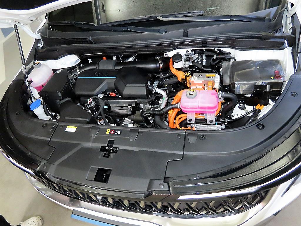 Kia Carnival — photo 19
