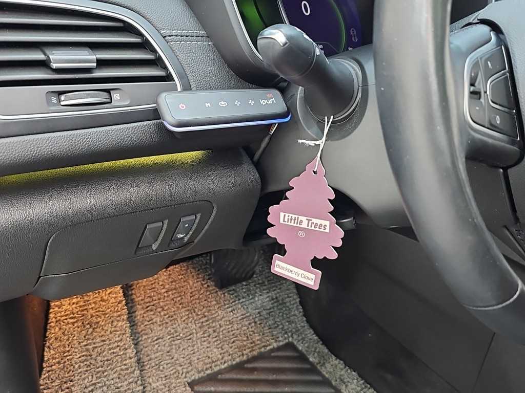 RENAULT SM6 — photo 18