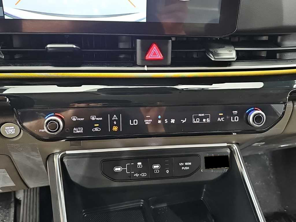 Kia Carnival — photo 10