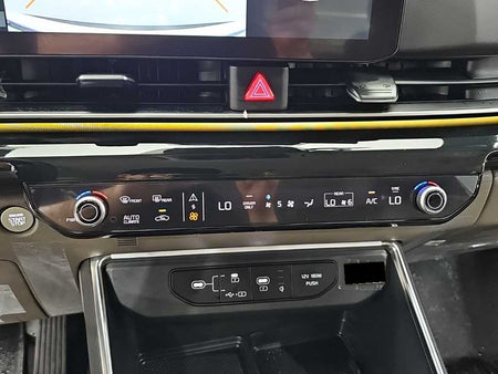 Kia Carnival — photo 10