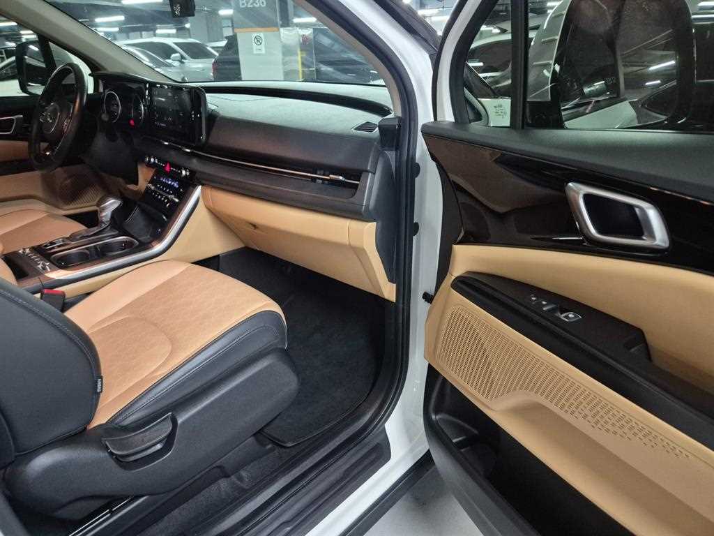 Kia Carnival — photo 10
