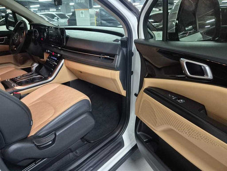 Kia Carnival — photo 10