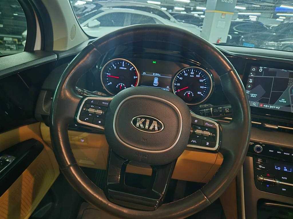 Kia Carnival — photo 14