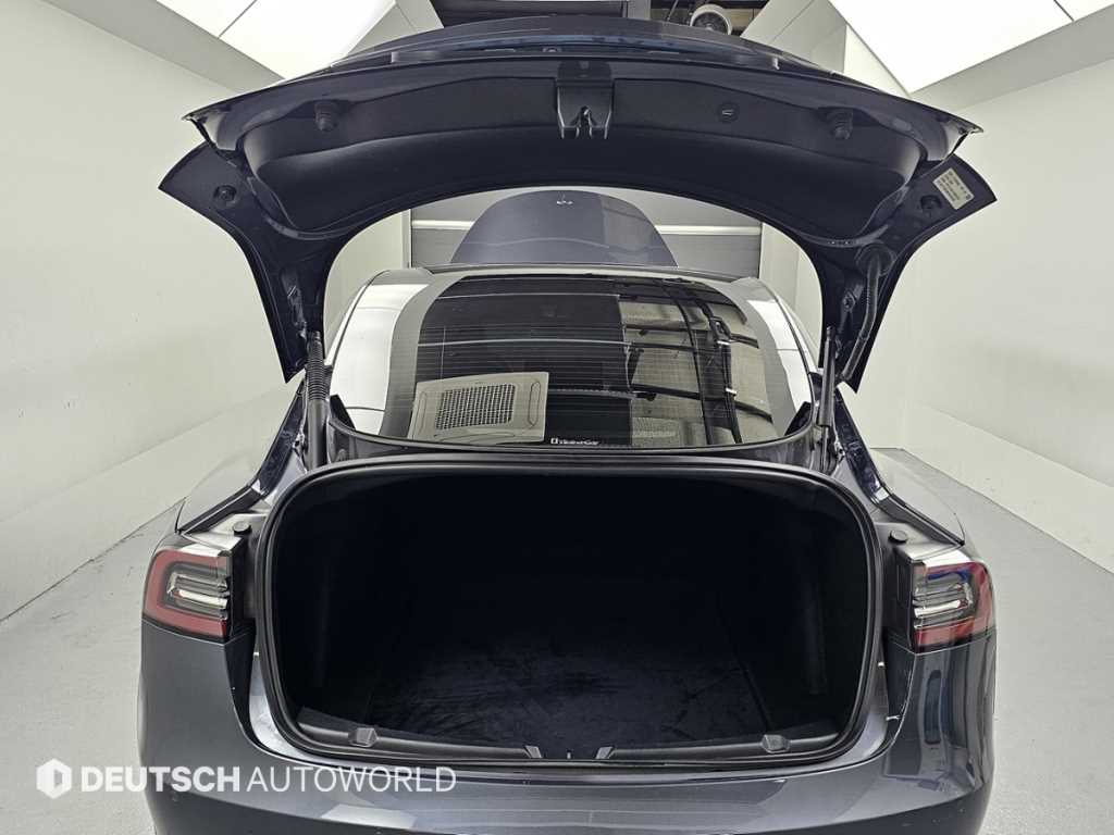 Tesla Model 3 — photo 19