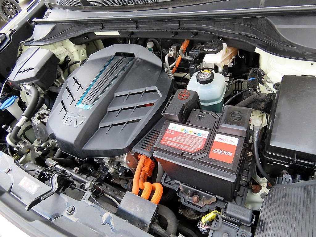 Kia Niro — photo 19