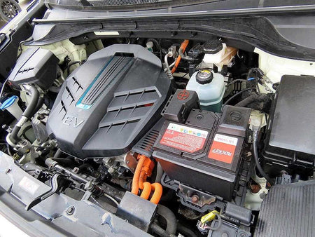 Kia Niro — photo 19
